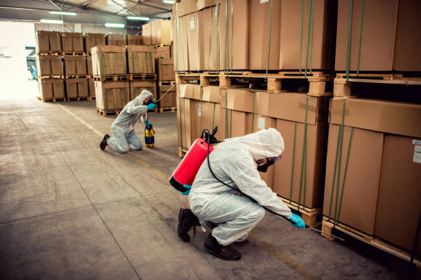 Best Flea Control Services  in Fargo, ND