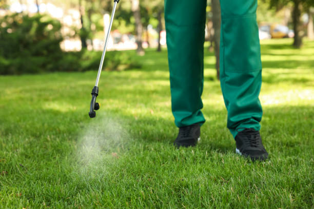 Trusted Fargo, ND Pest Control Experts