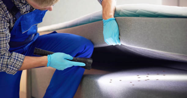 Best Mosquito Control Services  in Fargo, ND