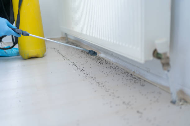 Best Wildlife Control Services  in Fargo, ND